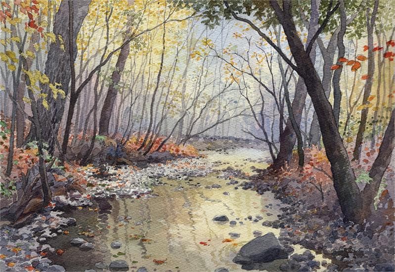 The Ravine - Image 6