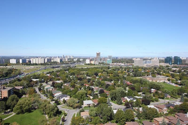 The Ravine - Image 14