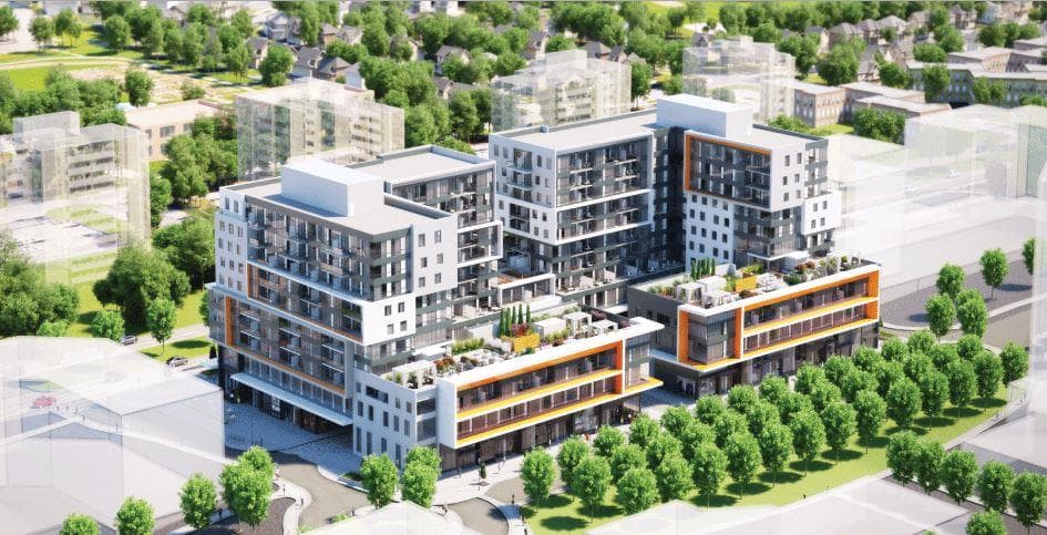 Central Park Ajax - Image 3