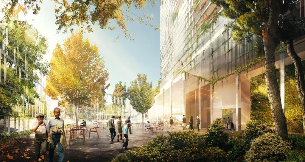 Lake & East - Image 5