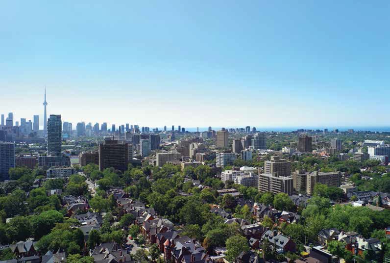 AYC – Annex Yorkville Connection - Image 8