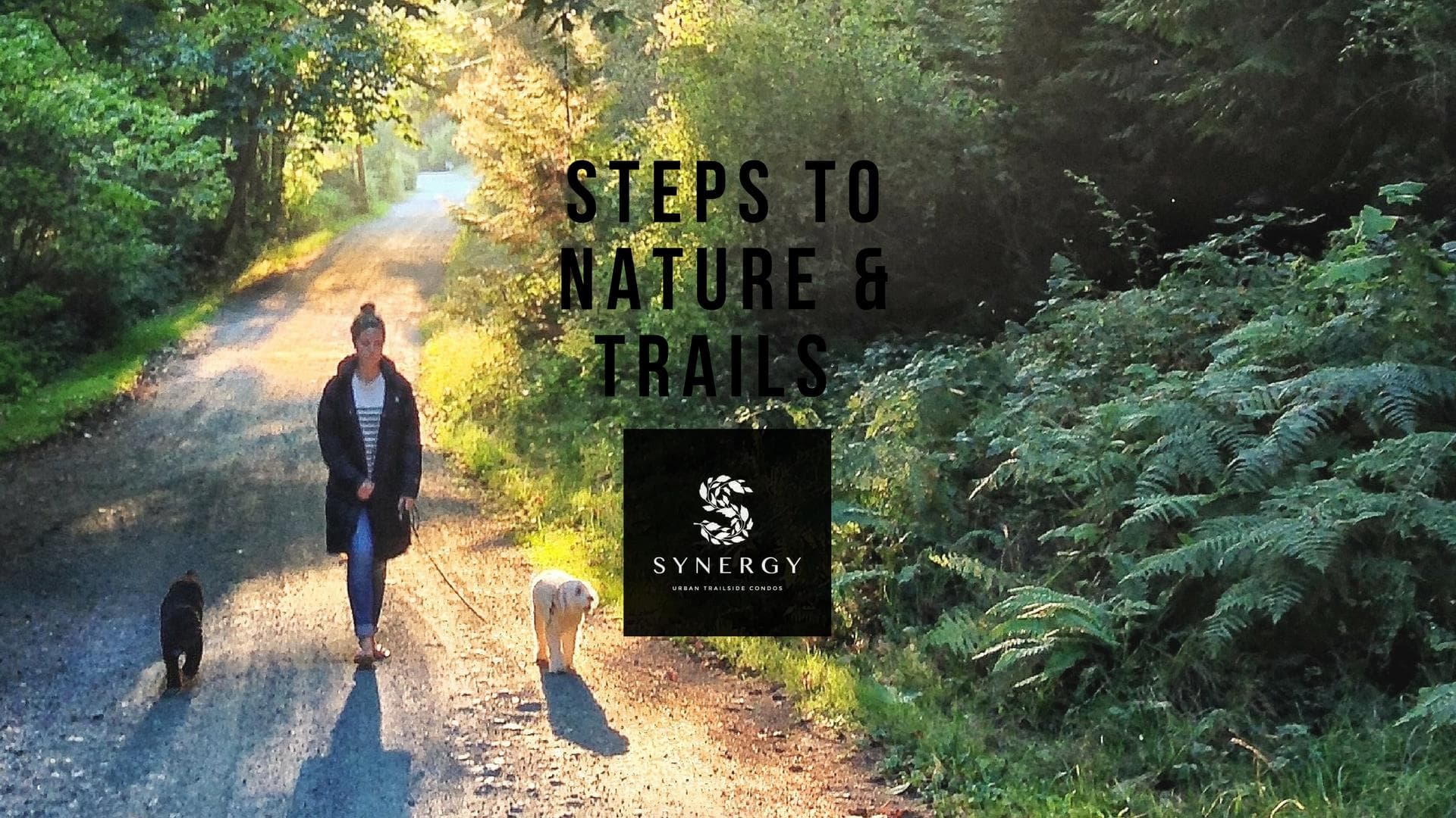 Synergy Condos - Image 3