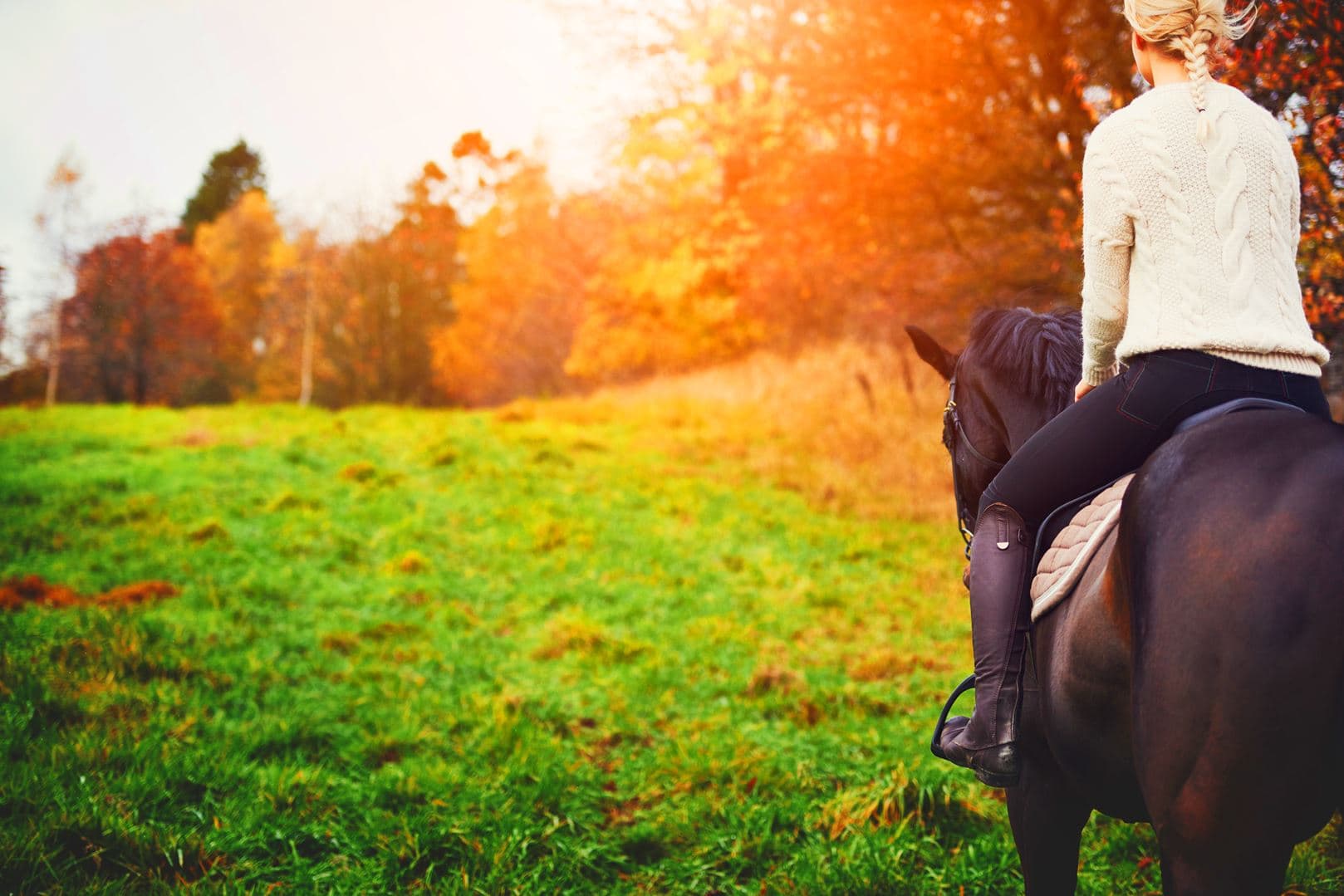 Bridle Trail Urban Towns - Image 6