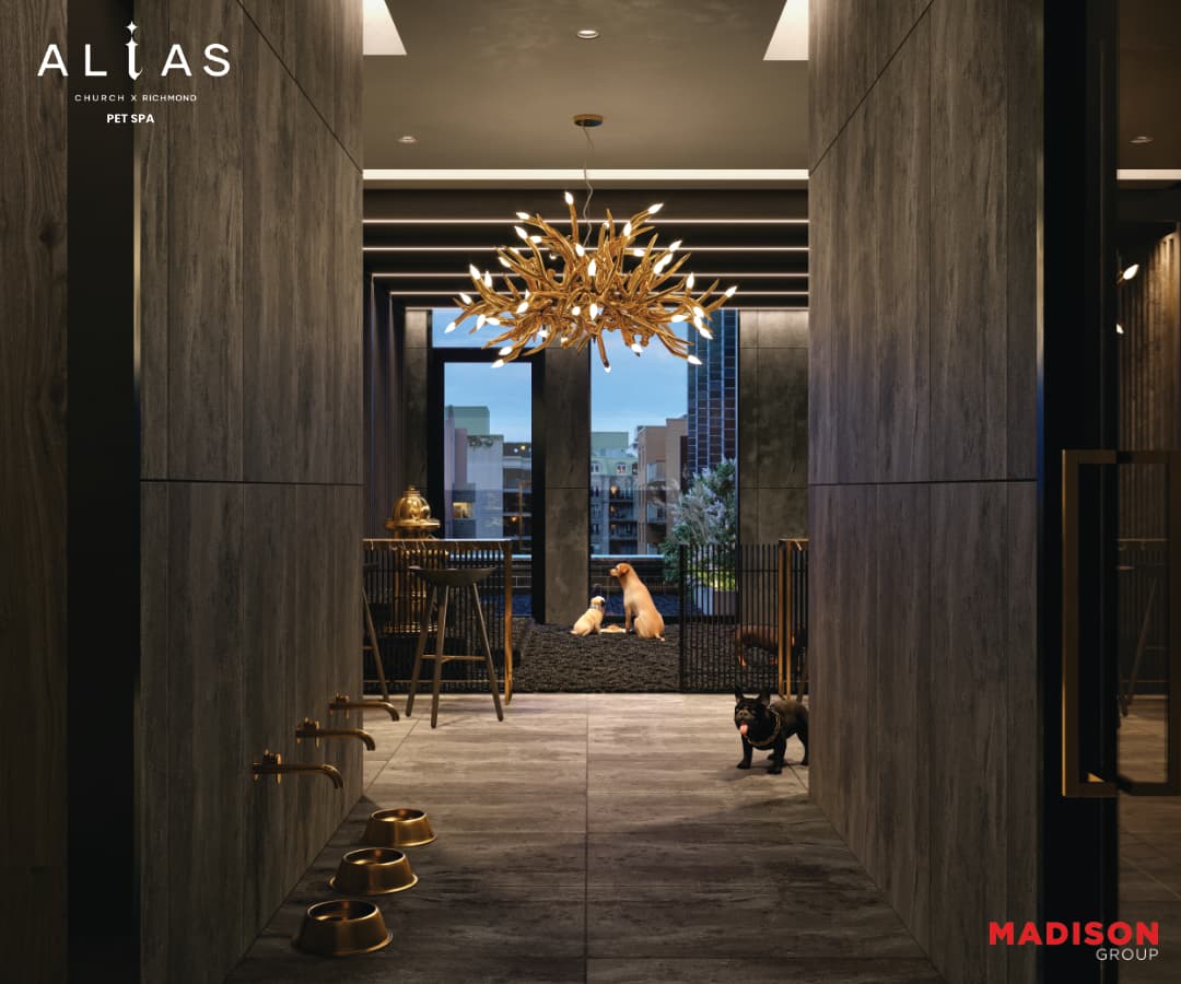 Alias Condos - Image 12