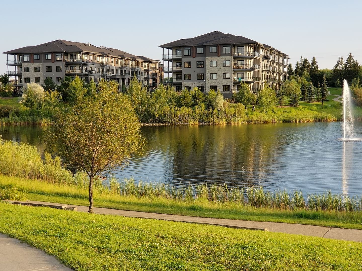 Veritas Condos - Image 5