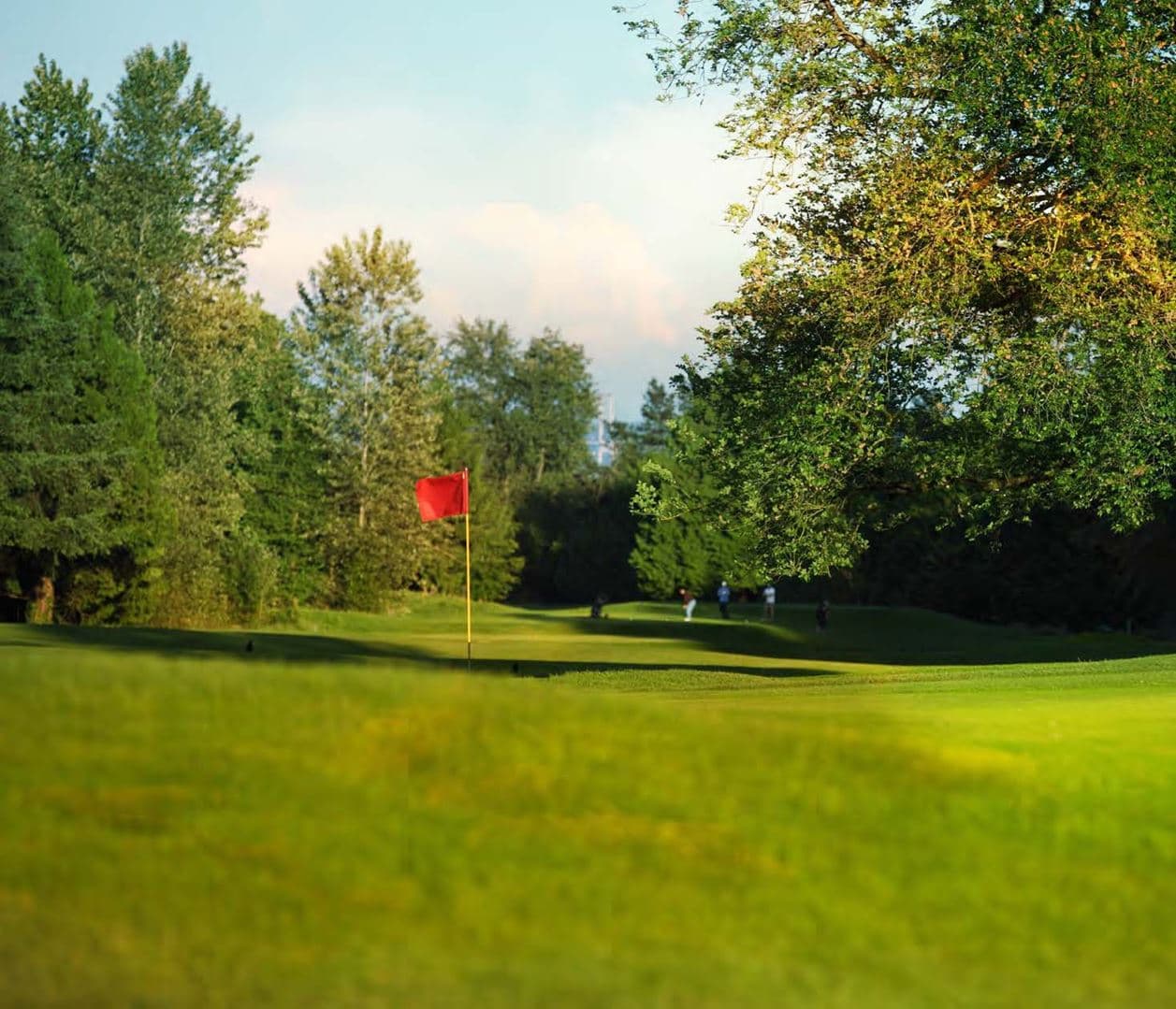 Park Langara Condos - Image 10