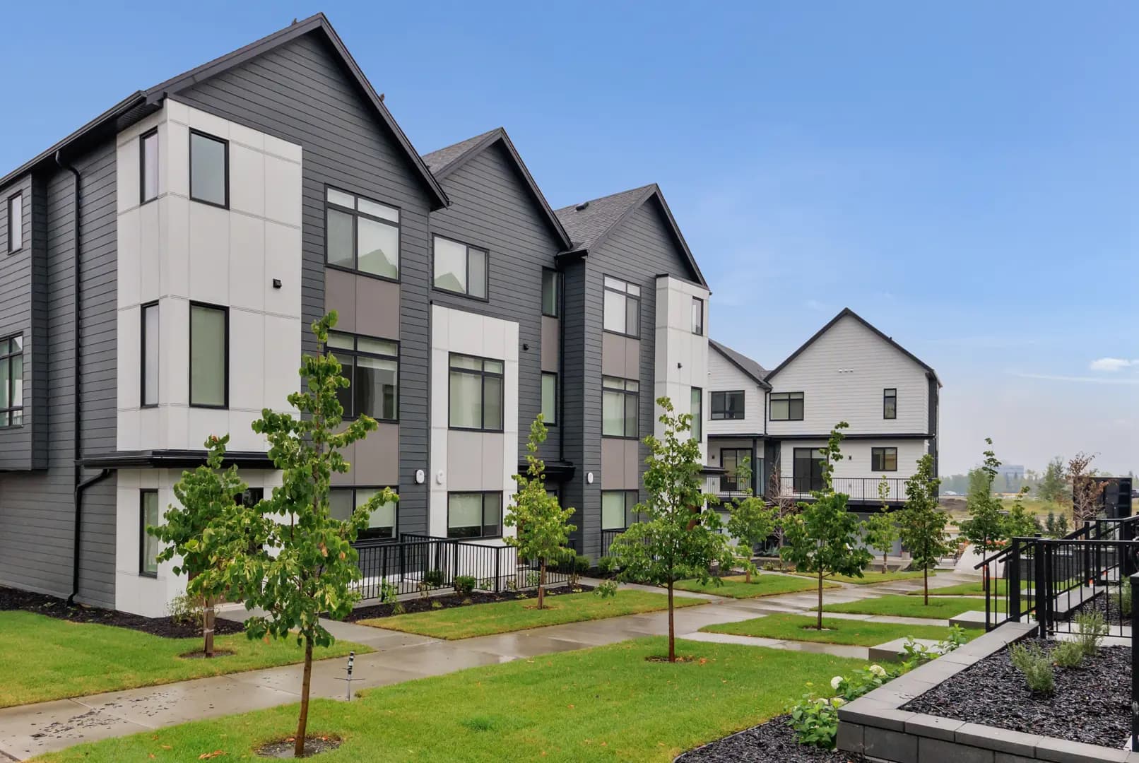 Billy by Anthem - Image 2